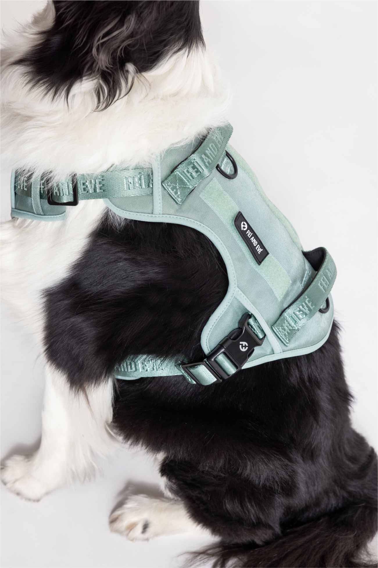 Glacier Green