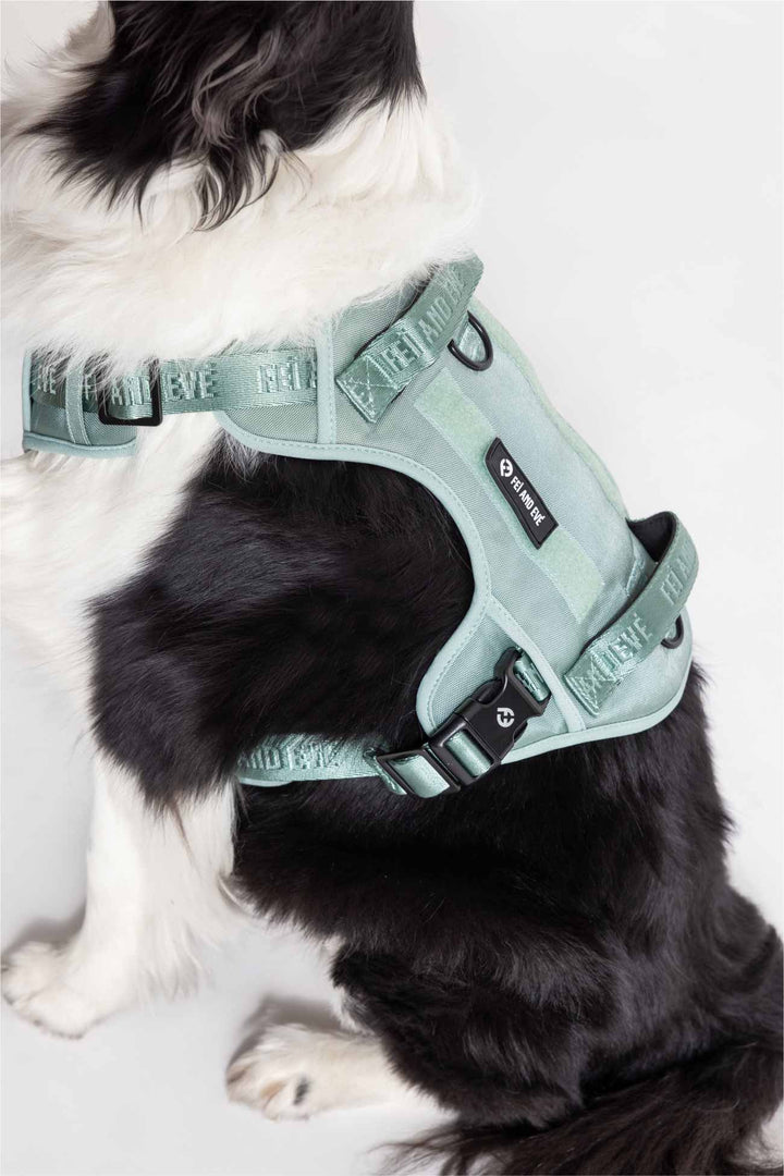 Glacier Green