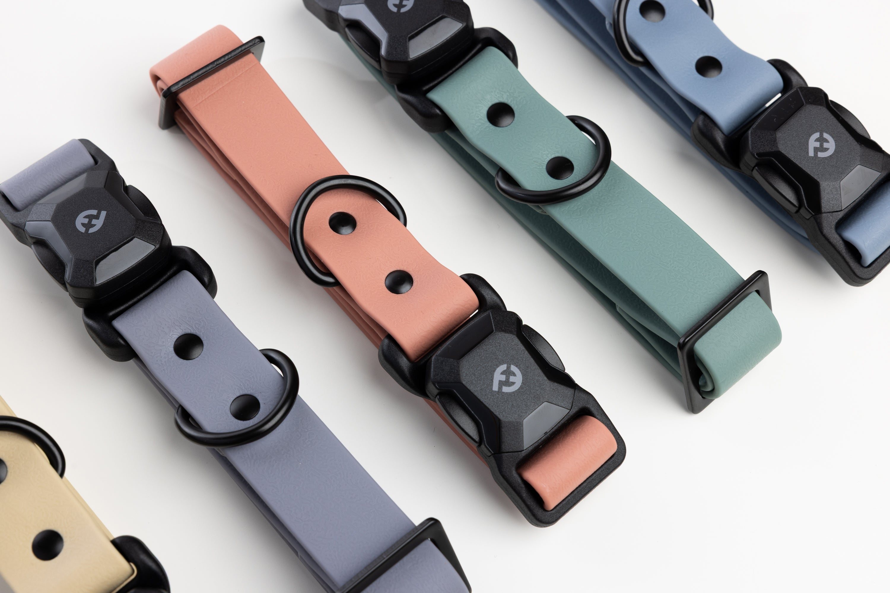 Collection of colorful dog collars with magease buckles on a light gray background