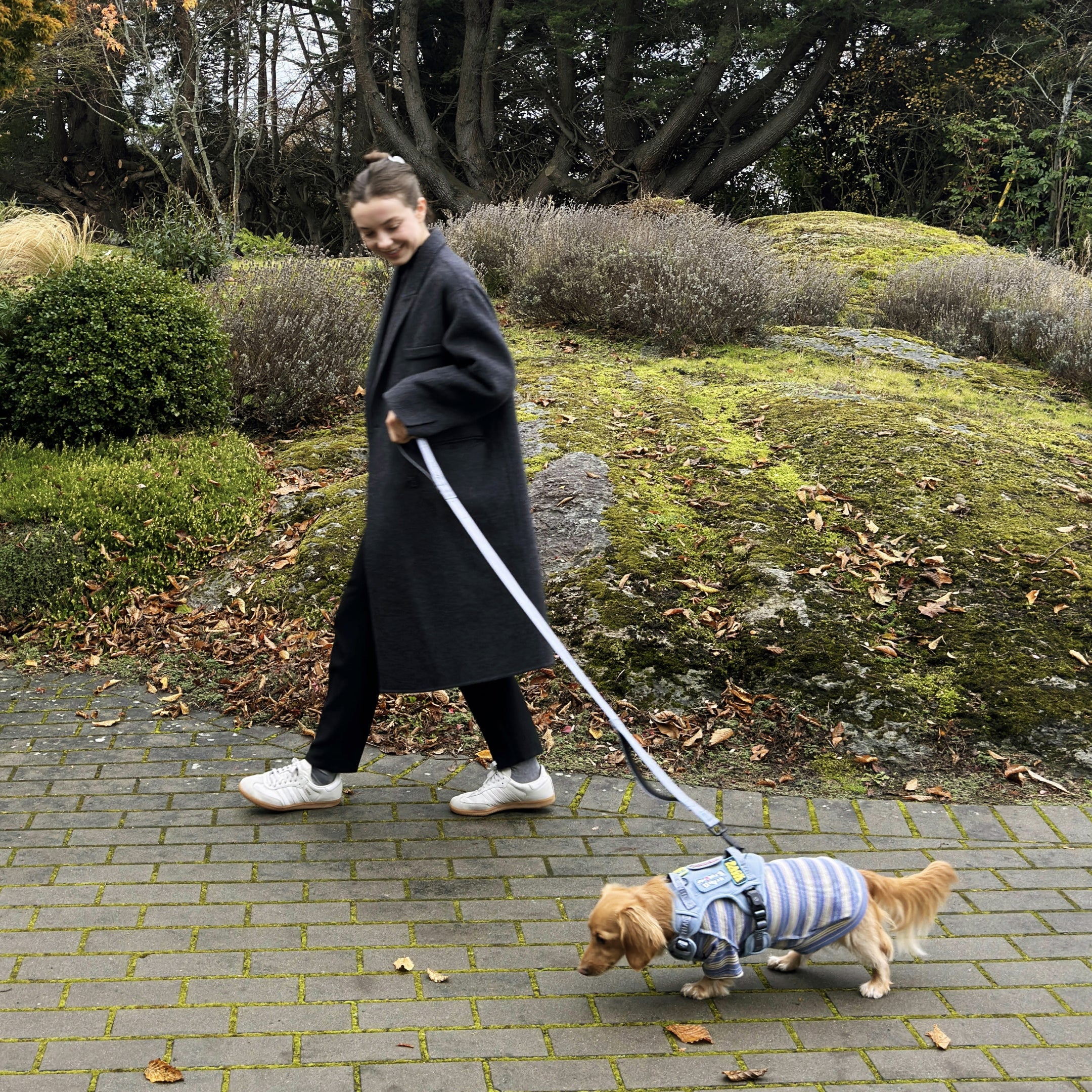 Winter Walk Safety Tips Every Dog Parent Should Know