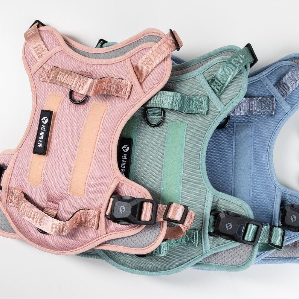 What to Look for in a Dog Harness: A Complete Buyer's Guide