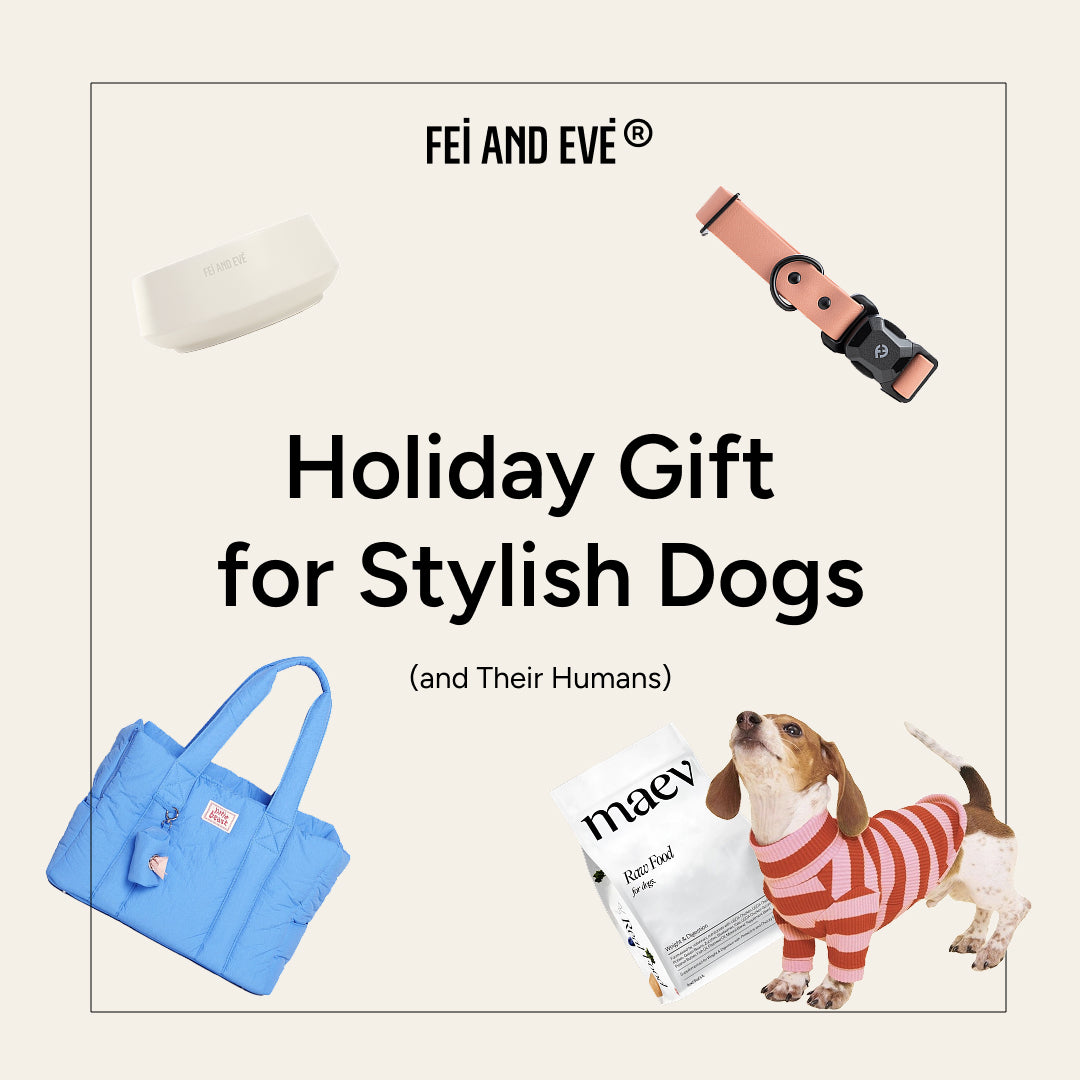 The Ultimate Holiday Gift Guide for Stylish Dogs (and Their Humans)
