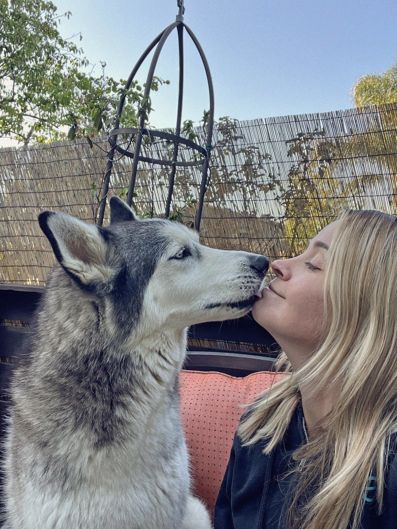Olivea & Her Huskies, Eva, Ranger, and Ghost