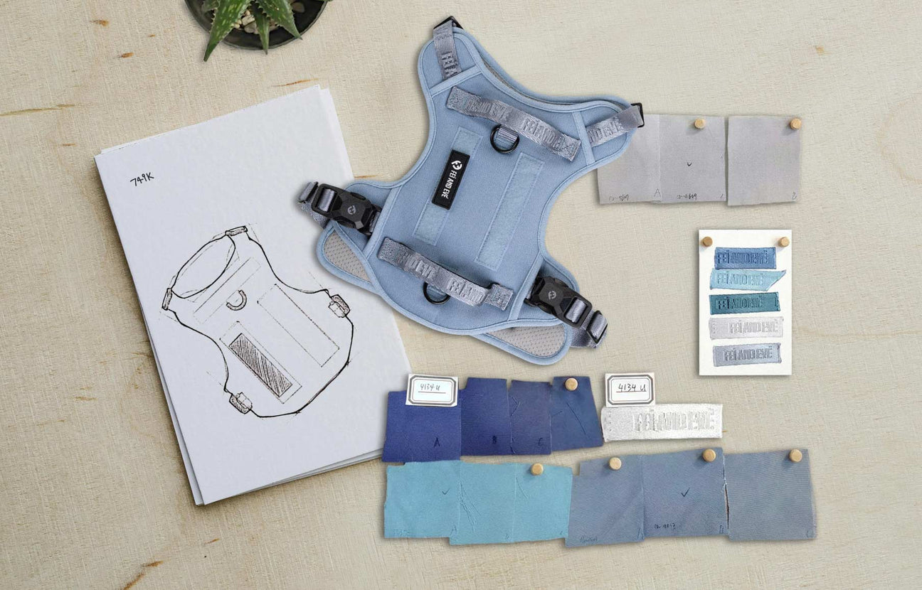 Designing a Better Harness, One Decision at a Time