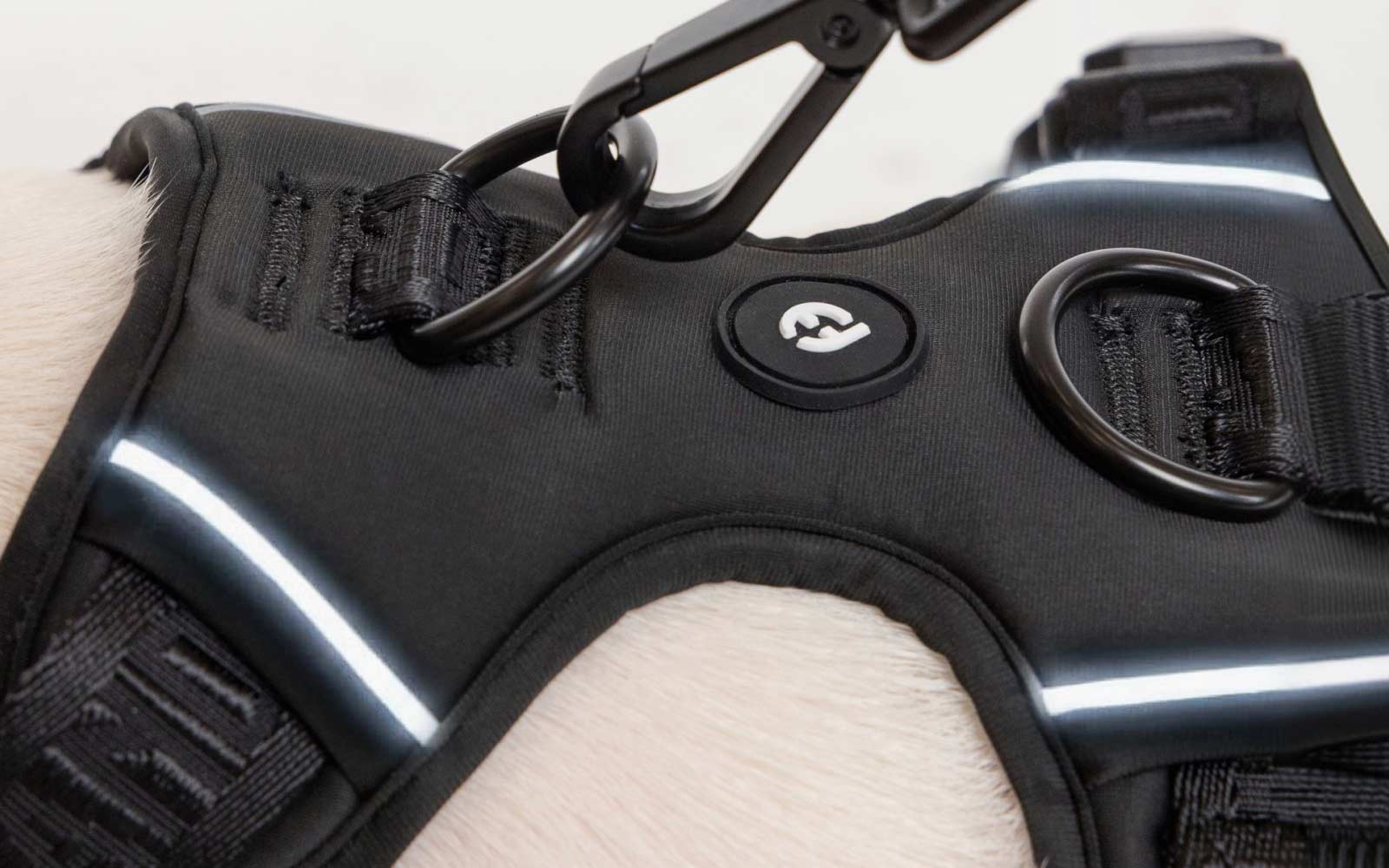 Close-up of a black Fei and Eve Cloud MagEase harness for dogs with reflective stripes on a light background