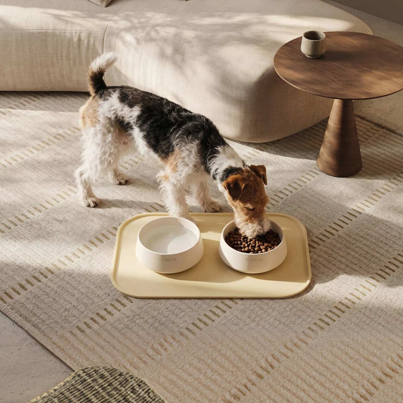 Dog eating from a bowl on a tray in a living room setting