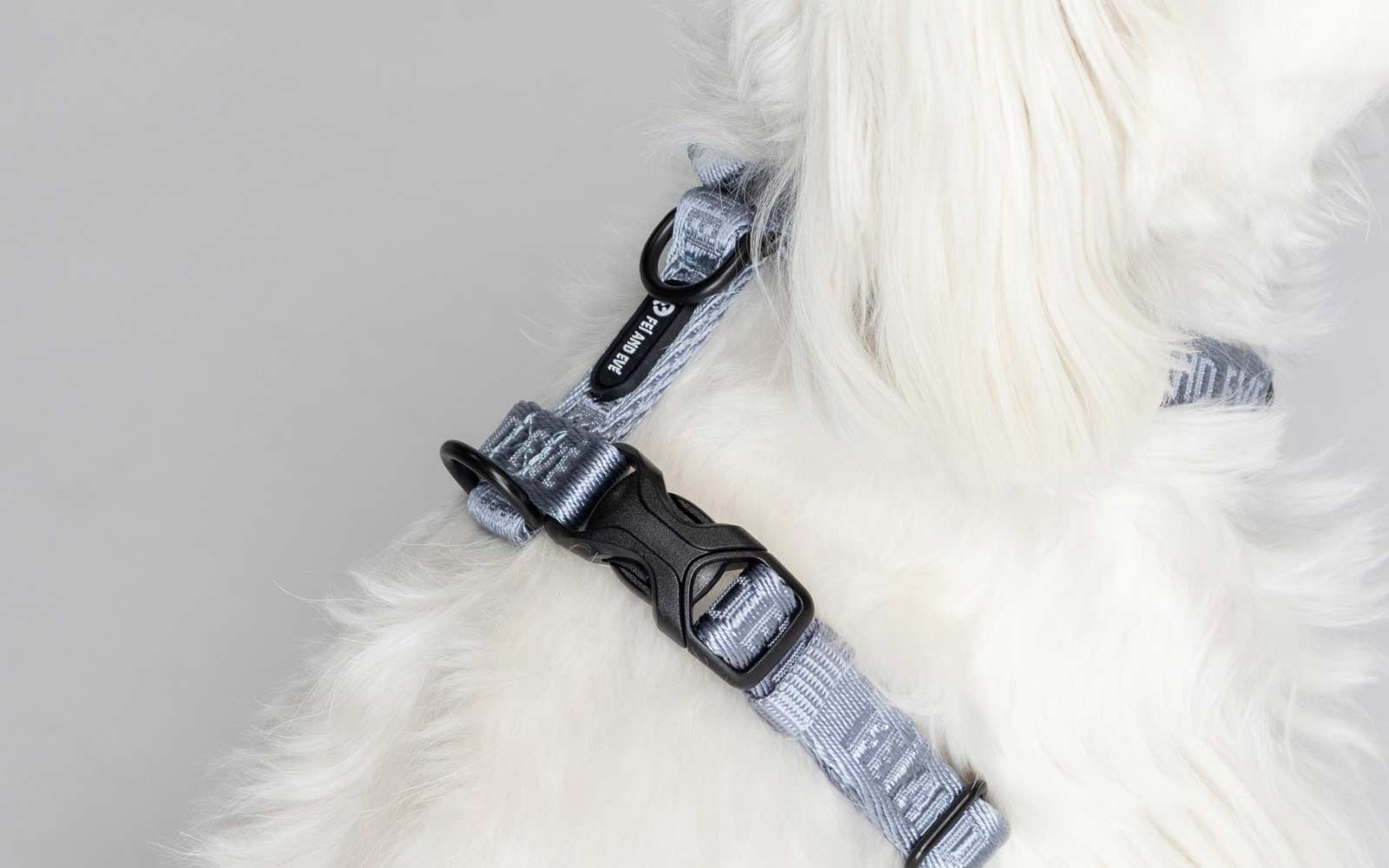 Dog in Moxie MagEase Harness in Dusk Blue on a white fur.
