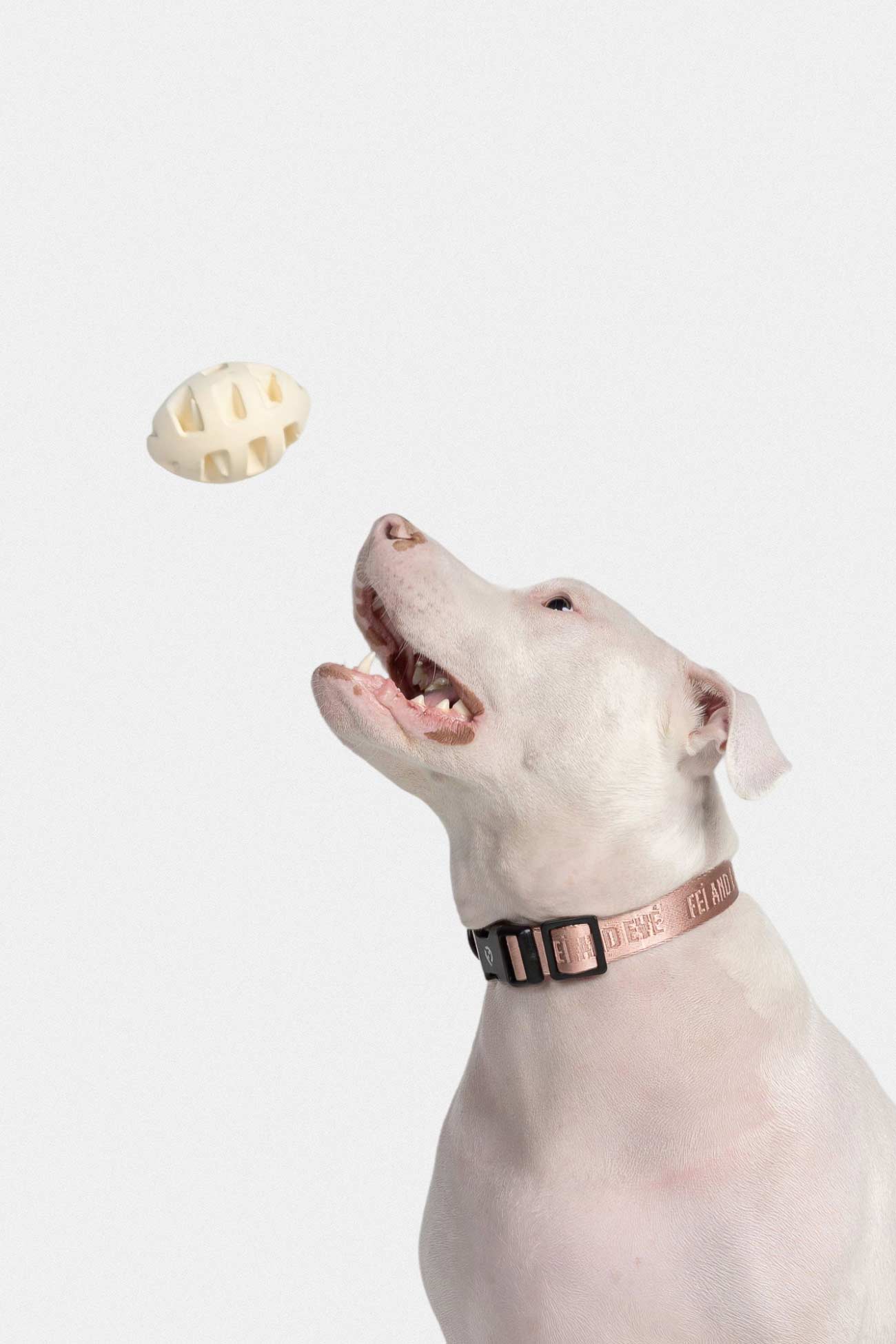 Natural Rubber Fetch Toy