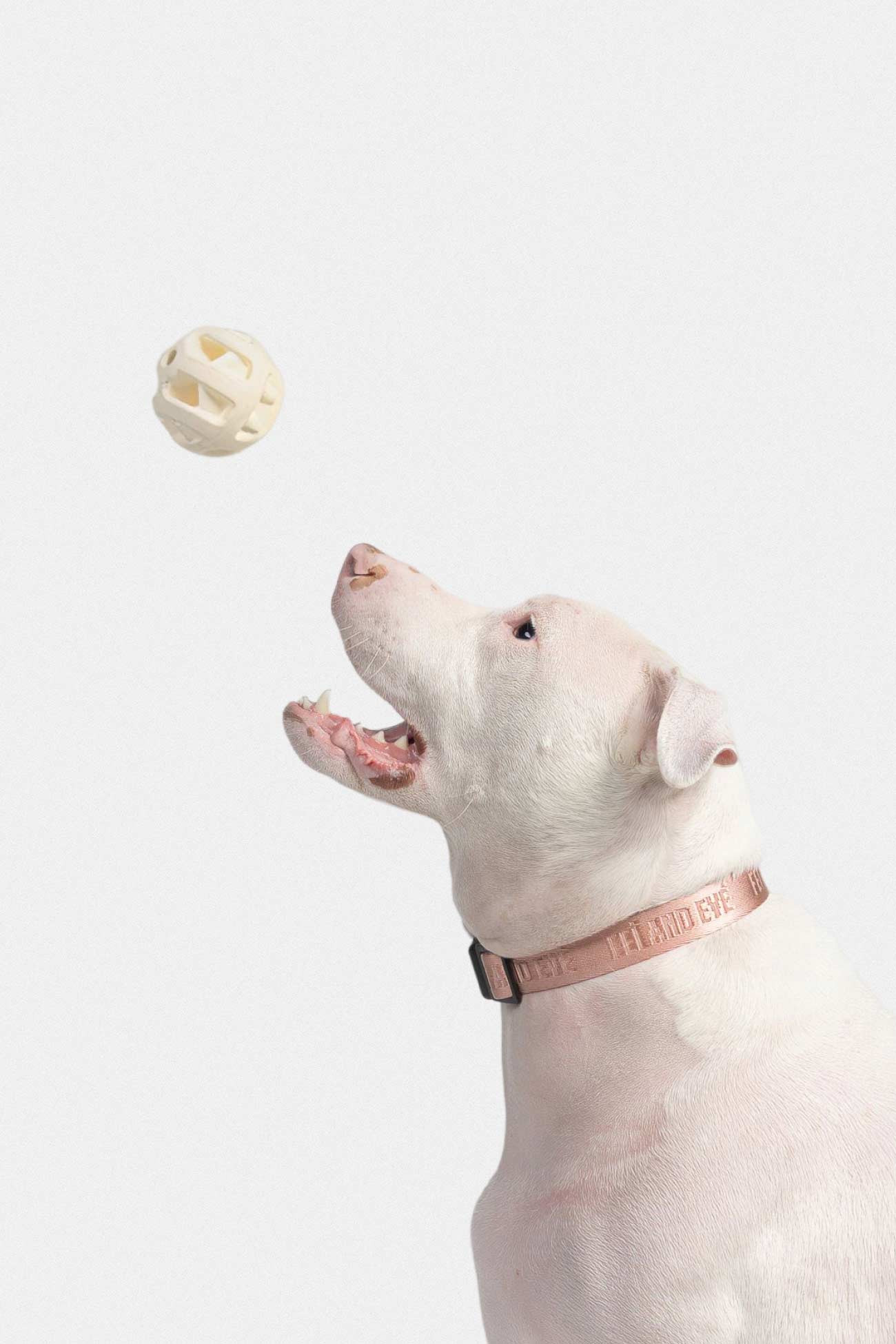 Natural Rubber Toss Ball