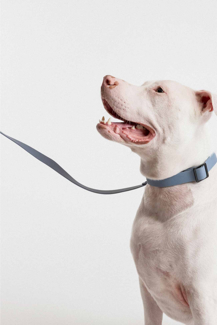 Vero Leash