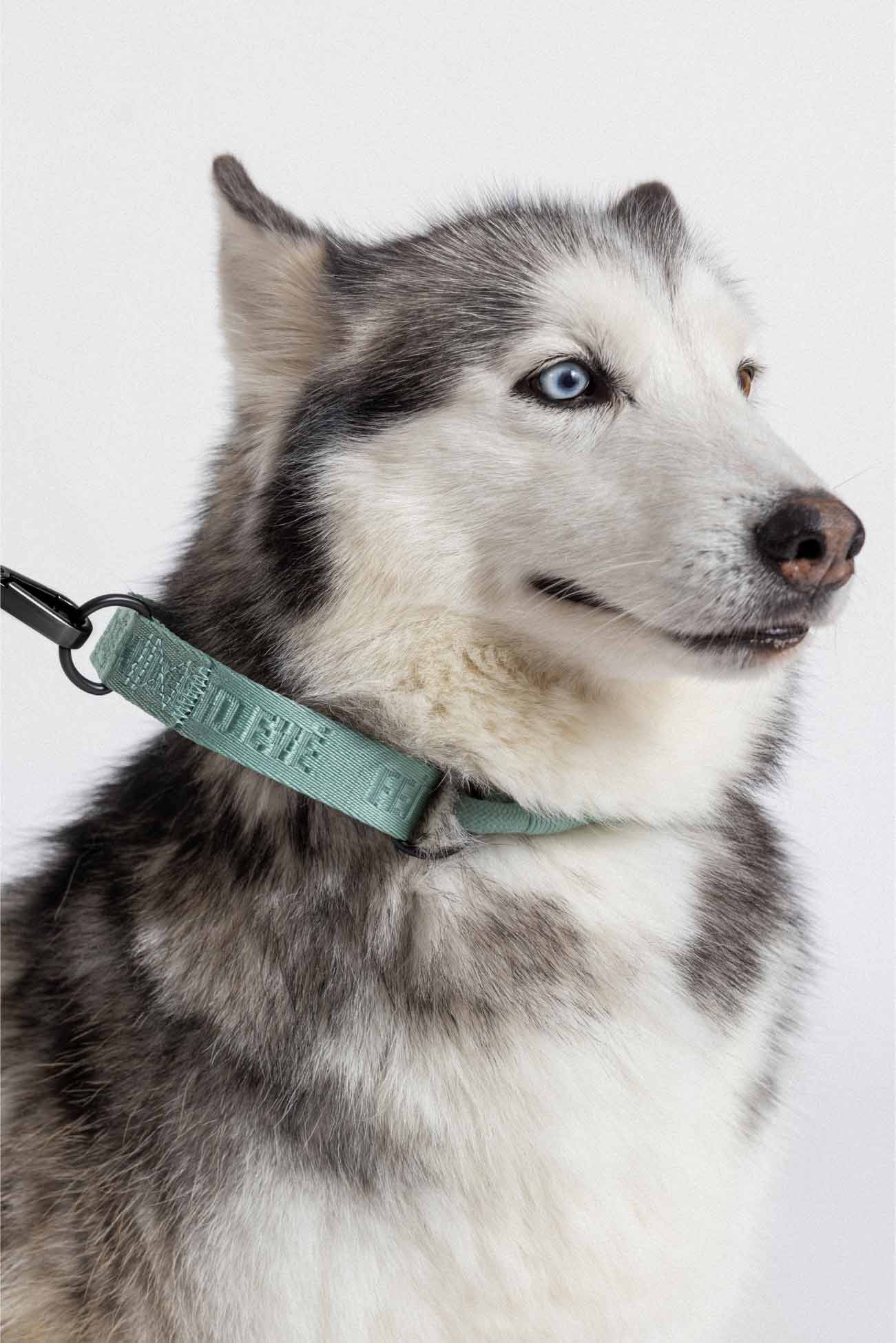 Glacier Green