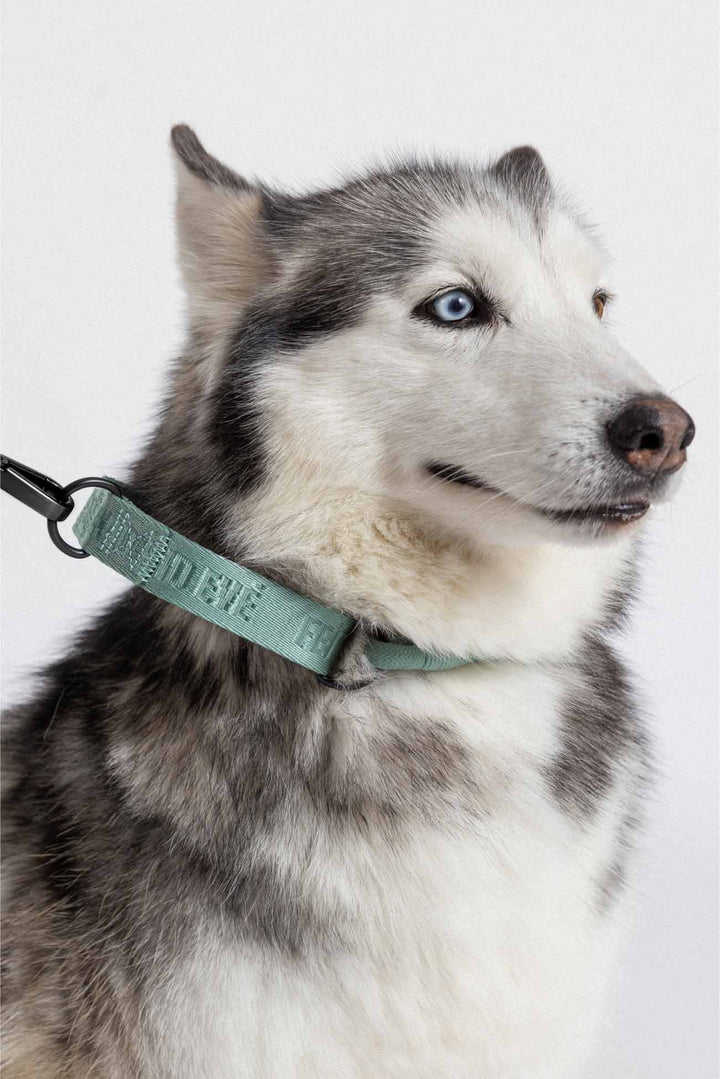 Glacier Green