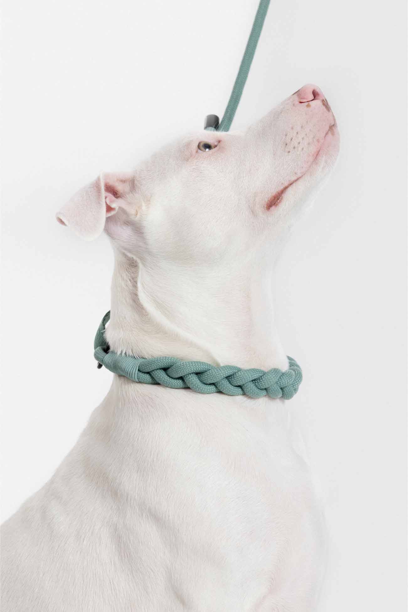 Glacier Green