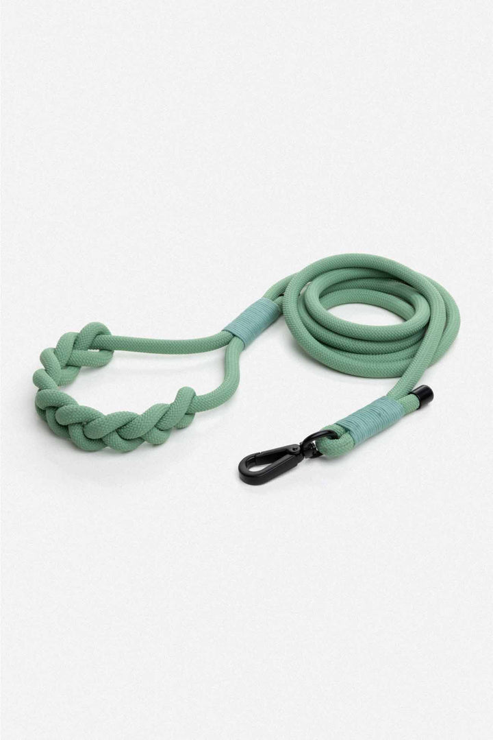 Glacier Green