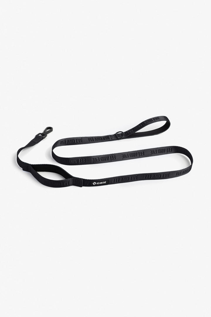 Black Classic Double Handle Leash dog leash on a white background
