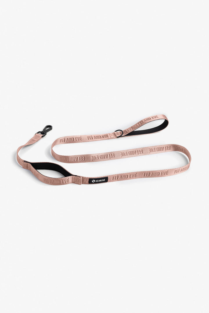 Blush Classic Double Handle Leash dog leash with black accents on a white background