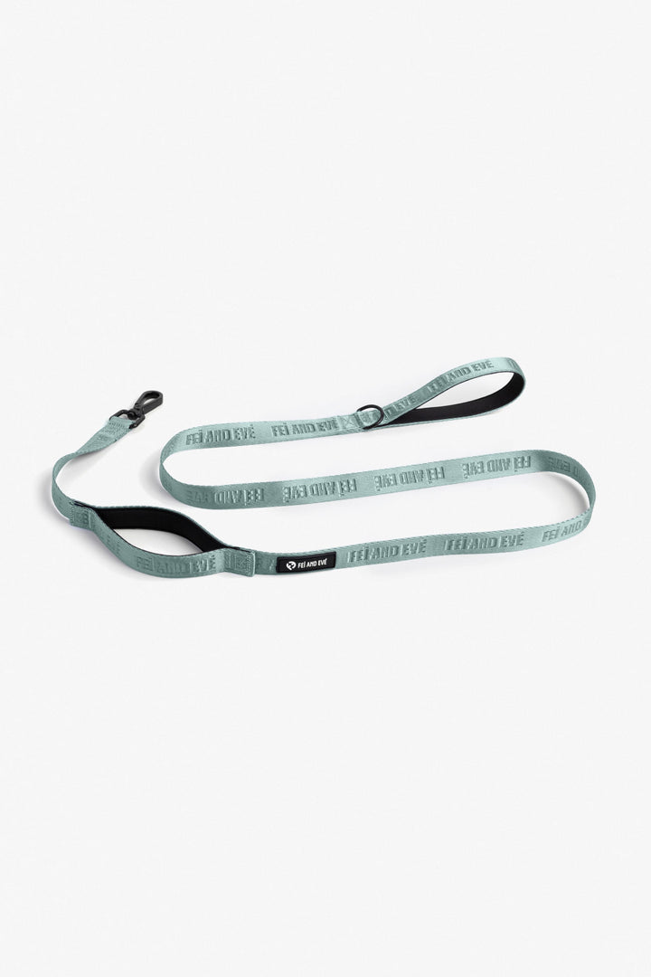 Glacier Green Classic Double Handle Leash dog leash with black accents on a white background