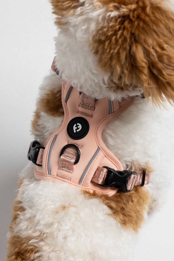 Blush Cloud Harness with Traditional Buckles on the back of the dog with the Fei and Eve brand logo.