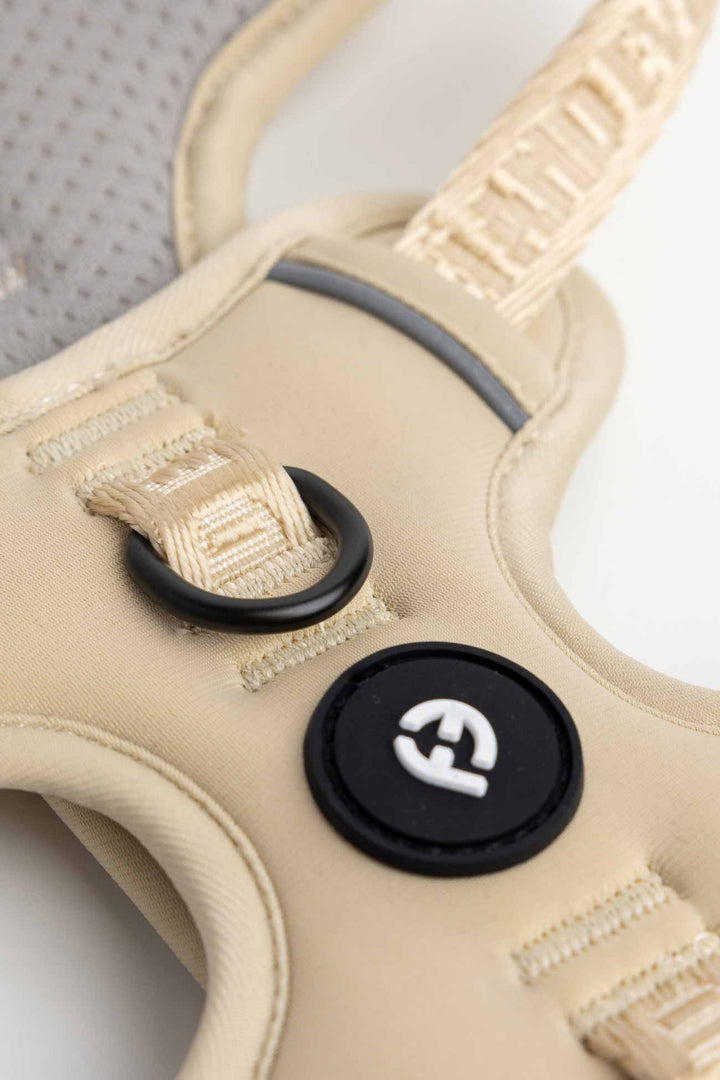 Champagne Cloud Harness's close-up of the front D-ring