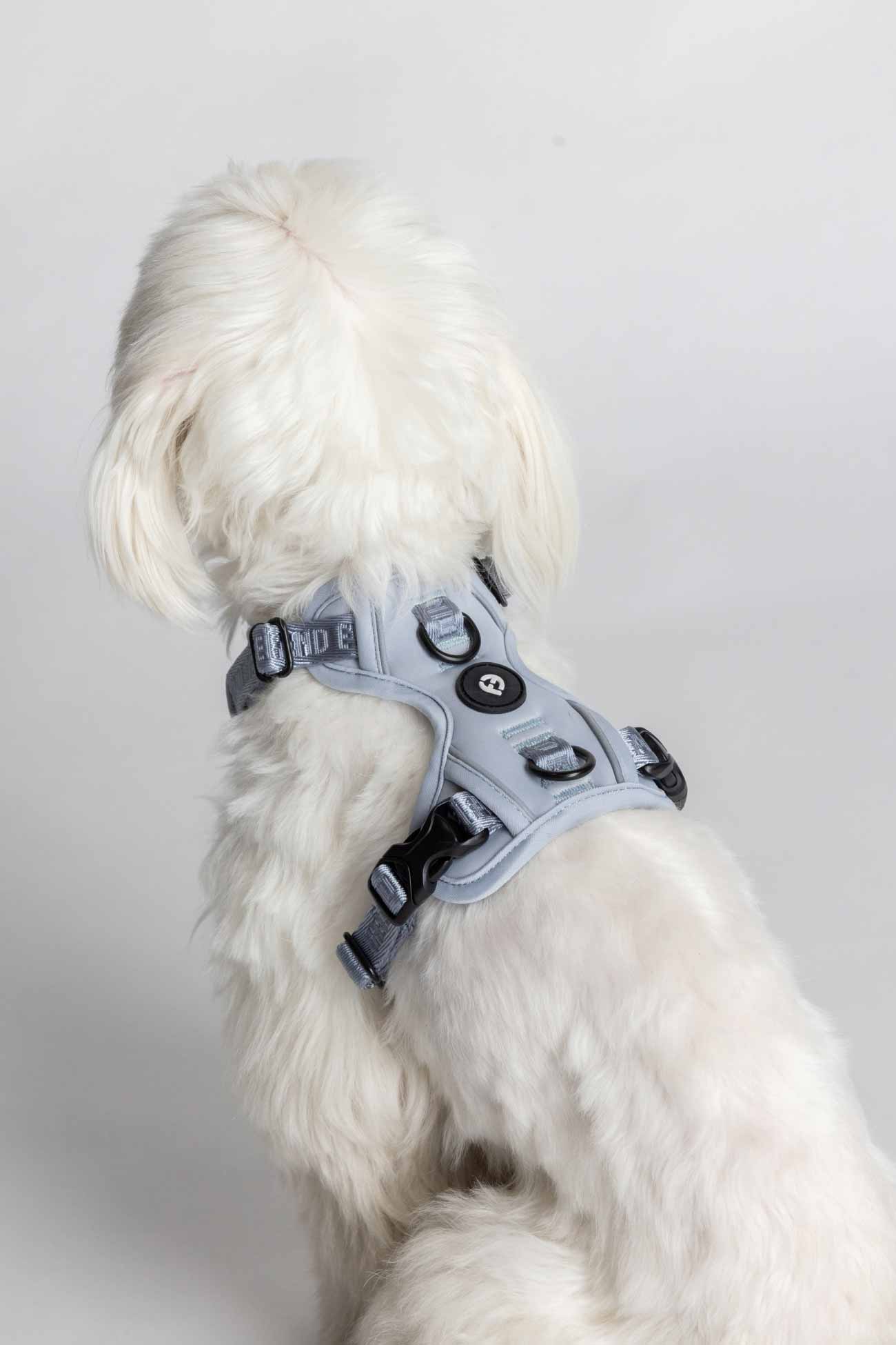 Dusk Blue Cloud Harness with Traditional Buckles on the backside of a white dog.