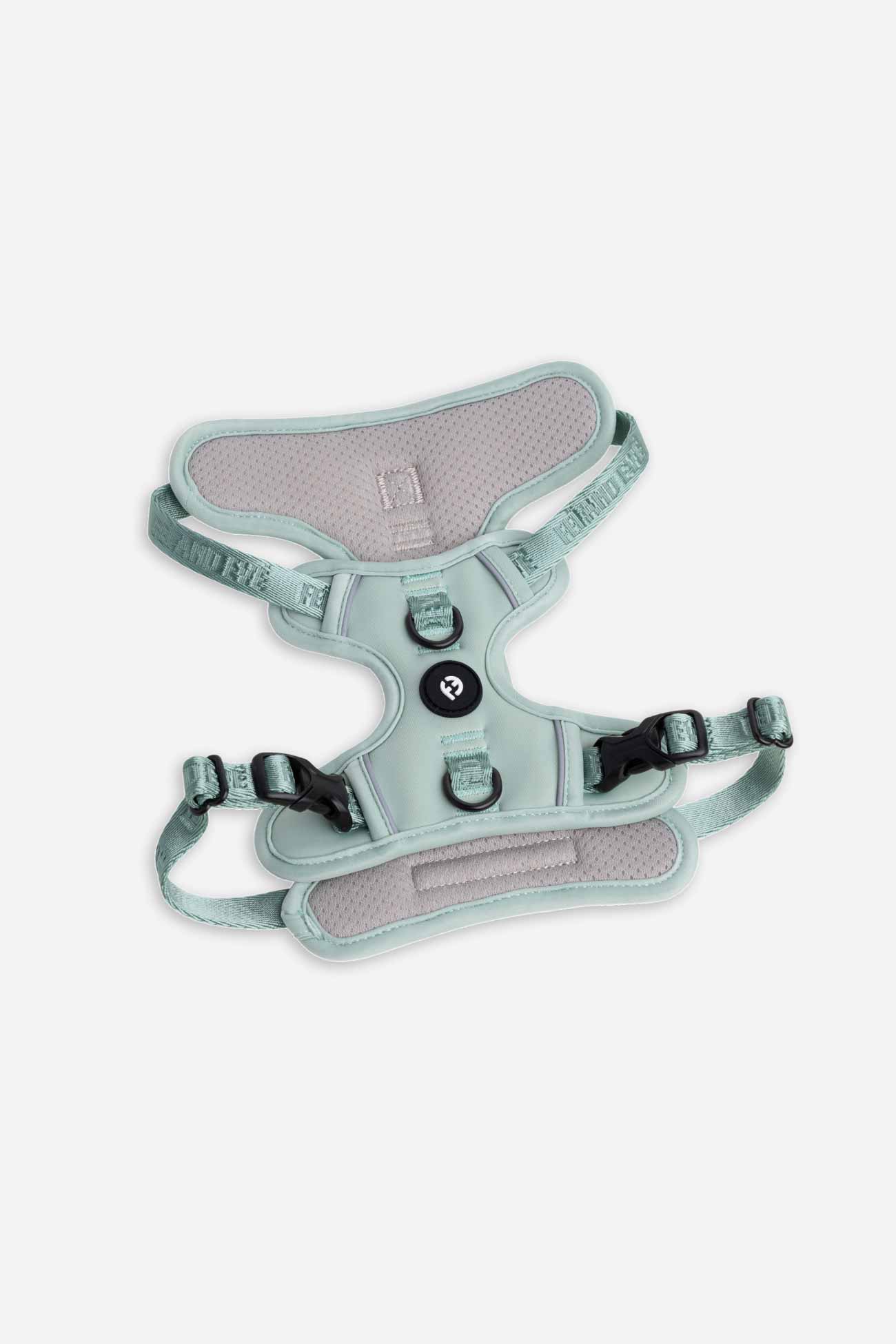 Glacier Green Cloud Harness with Traditional Buckles on a white background.
