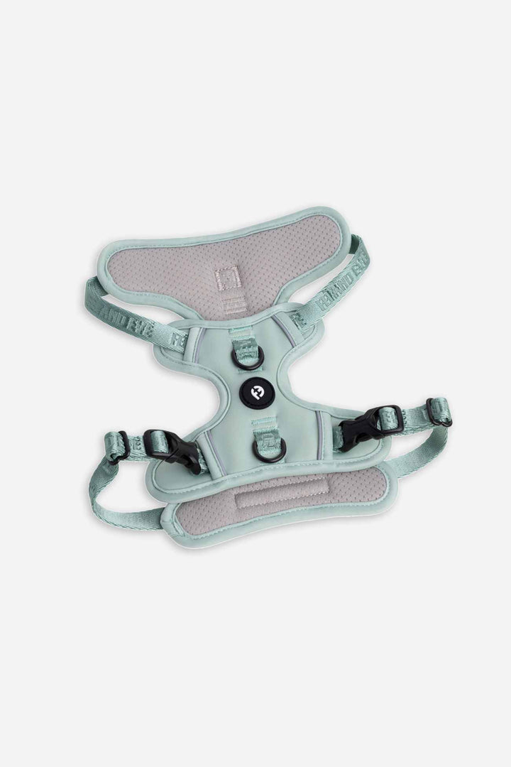 Glacier Green Cloud Harness with Traditional Buckles on a white background.