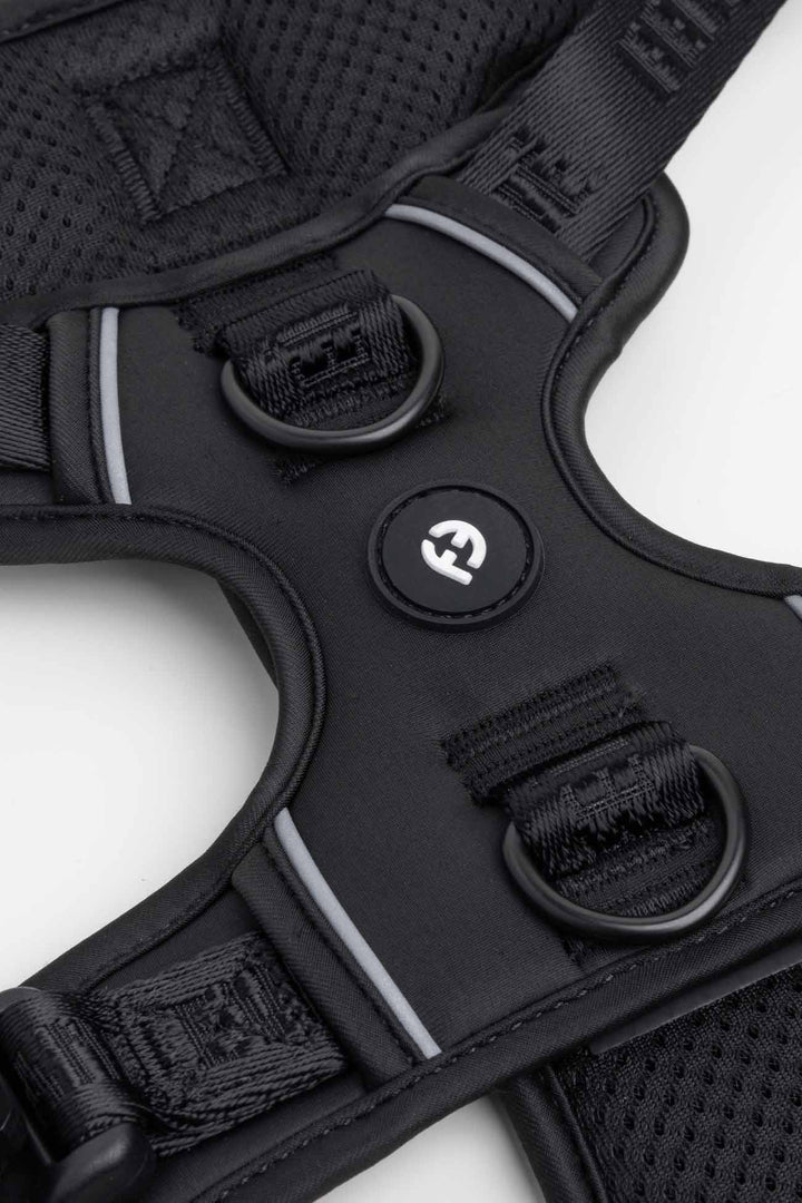 Black Cloud Harness with MagEase Buckles Close-up of a dog harness with adjustable straps and 2 leash points