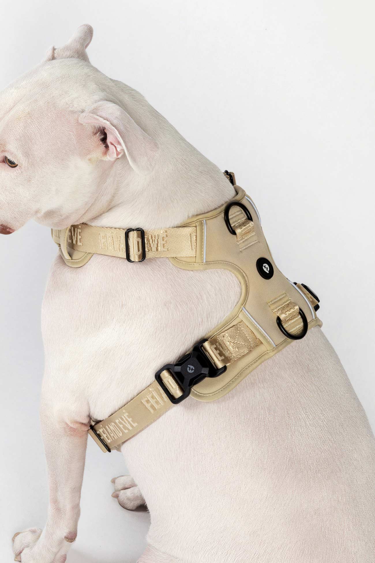 Champagne Cloud Harness with MagEase Buckles on a white Dog wearing a beige tactical harness on a white background
