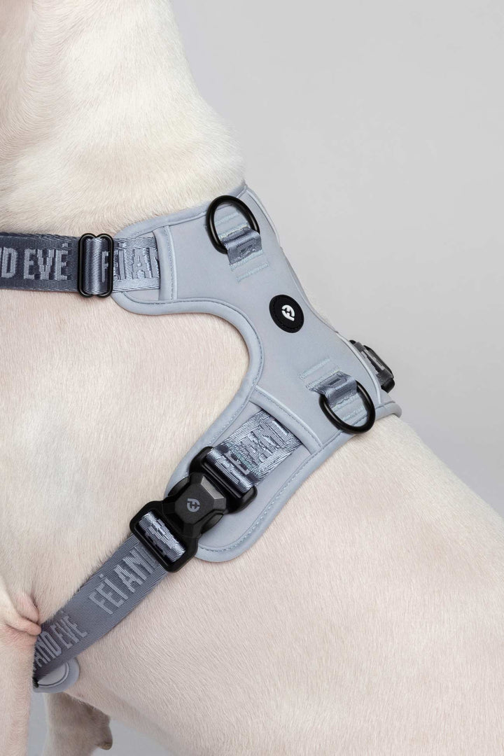 Dusk Blue Cloud Harness with MagEase Buckles on a white dog with visible branding Fei and Eve