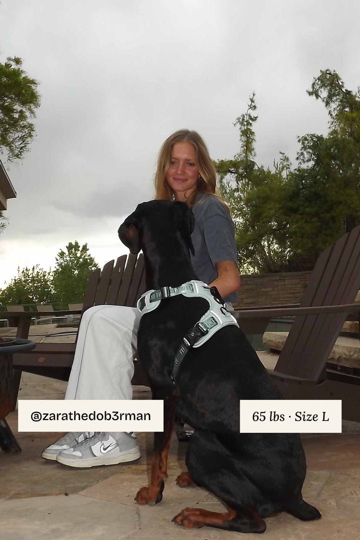 Glacier Green Cloud Harness with MagEase Buckles in L on a doberman dog with a woman sitting outdoors surrounded by wooden chairs and trees.