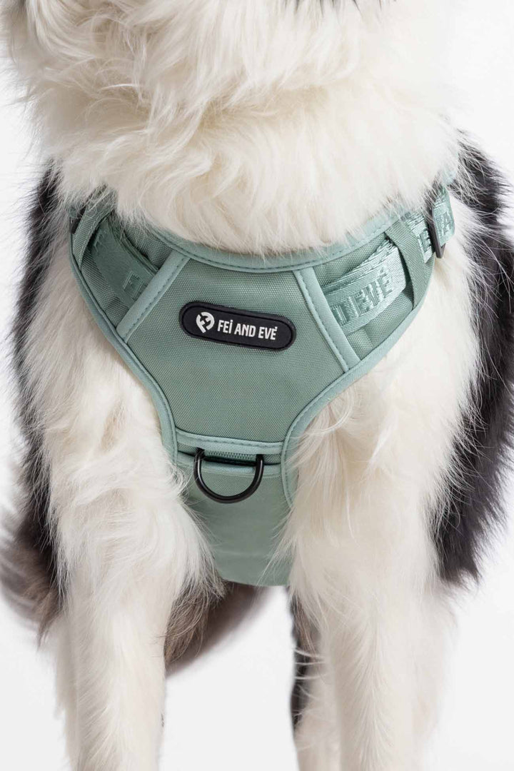 Glacier Green