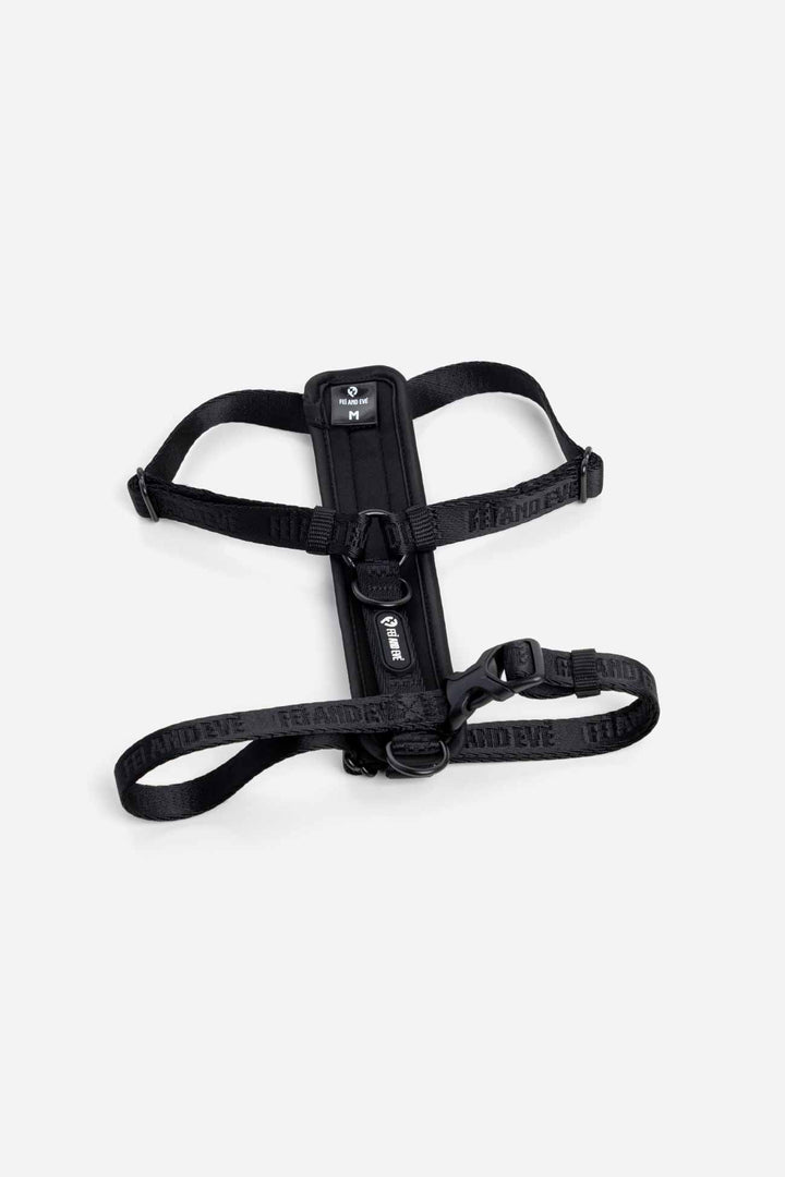 Black Moxie Harness with Traditional Buckles in size Medium for dogs on a white background.