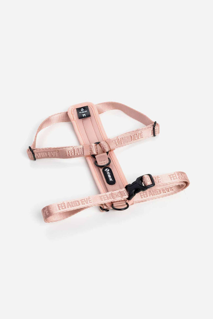 Blush Moxie Harness with Traditional Buckles in size Medium for dogs on a white background.