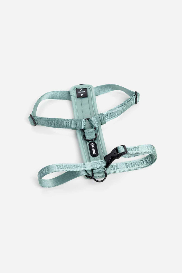Glacier Green Moxie Harness with Traditional Buckles in size Medium for dogs on a white background.