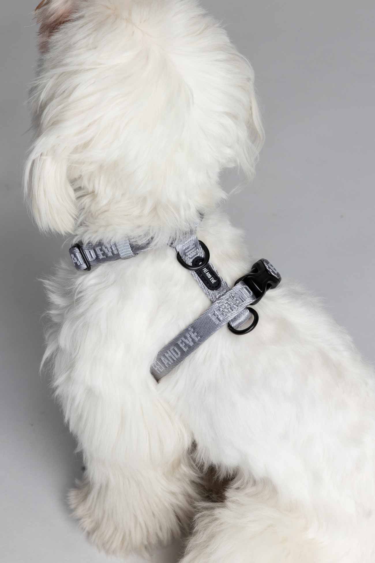 Twilight Gray Moxie Harness with Traditional Buckles on a White dog wearing a gray collar with visible branding Fei and Eve