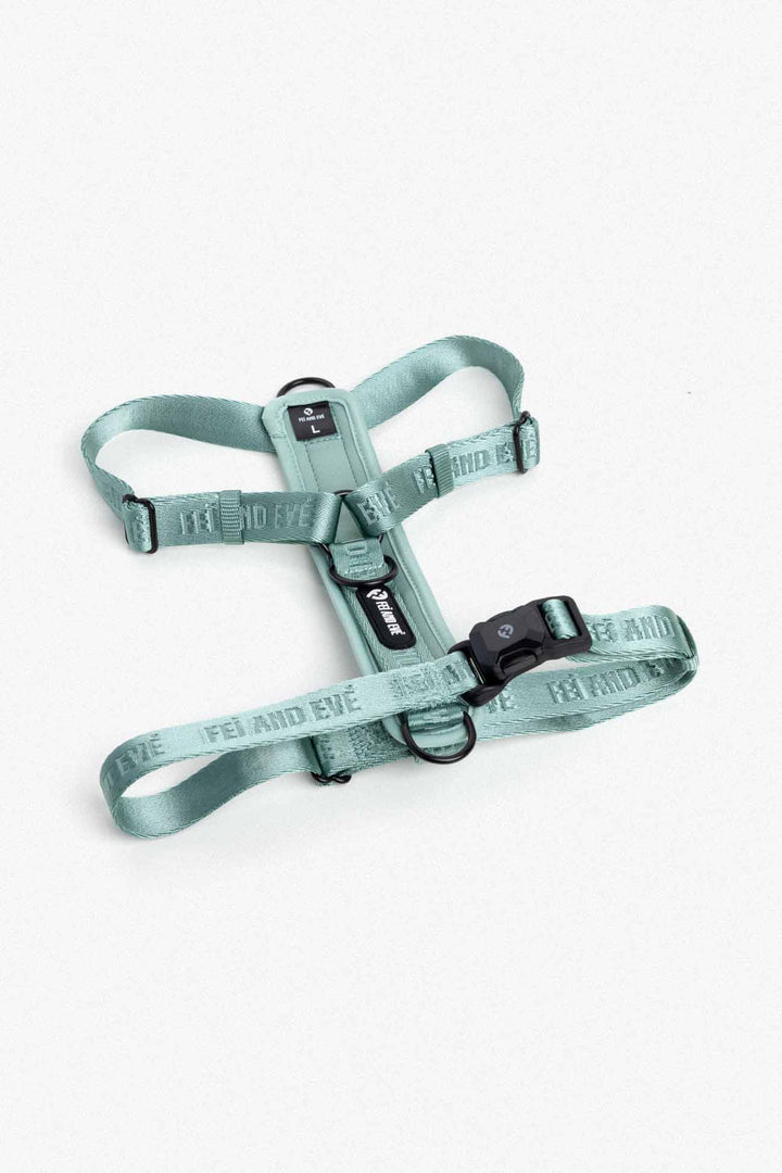 Glacier Green Moxie Harness with MagEase Buckles in size Large for dogs on a white background.