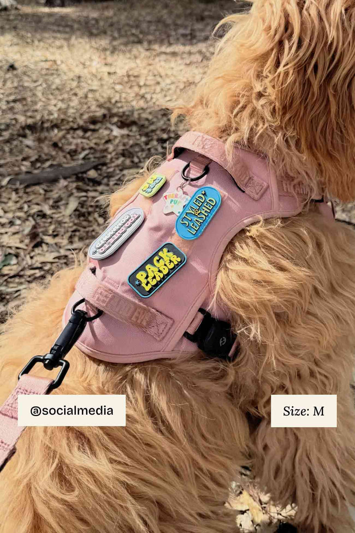 Classic Harness with MagEase® Buckles